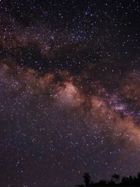 FineAngel5352의 捕まったら×eXされる♡