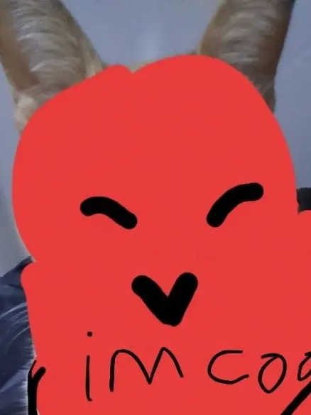 Hyeonhhhhh의 고양이가 된 킬러들