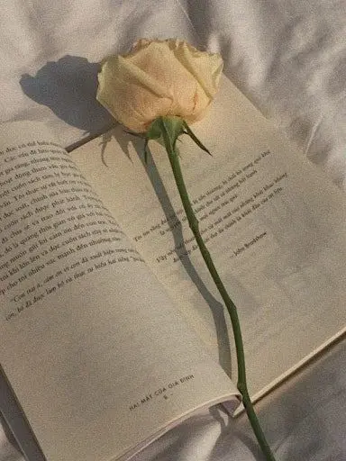 Corn_Corn의 환승연애