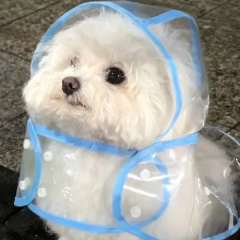 남녀무리 대표 이미지