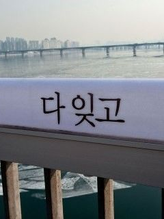 ㅤㅤ 대표 이미지