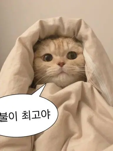 Waguri_Kaoruko_love의 하렘물(근데 이제 유저가 여자인)