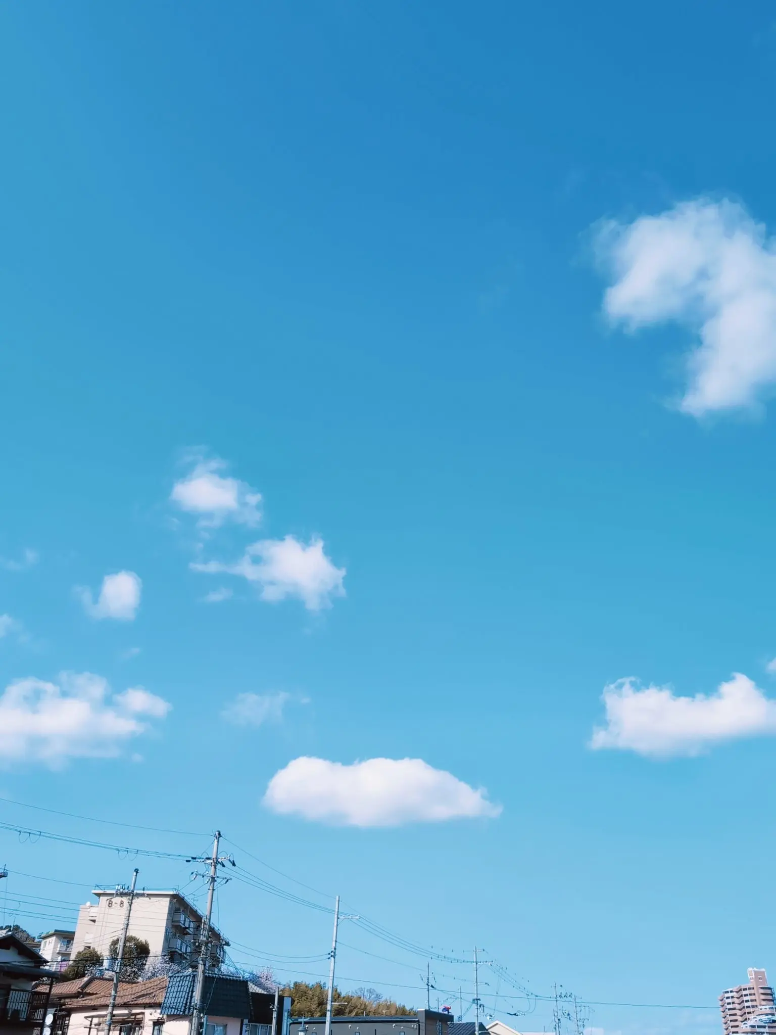 TimelyEmu5977의 カラフルピーチと何気ない日々_____