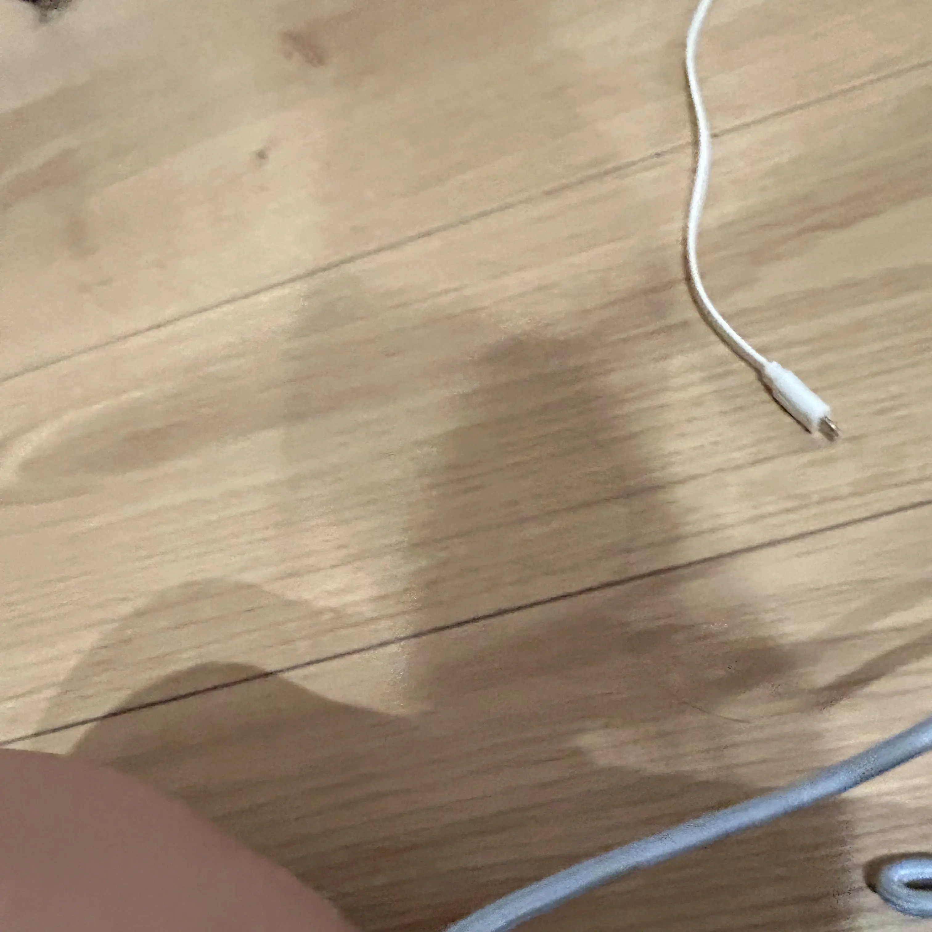 CuteLevel6480의 私の推し達大集合‼️