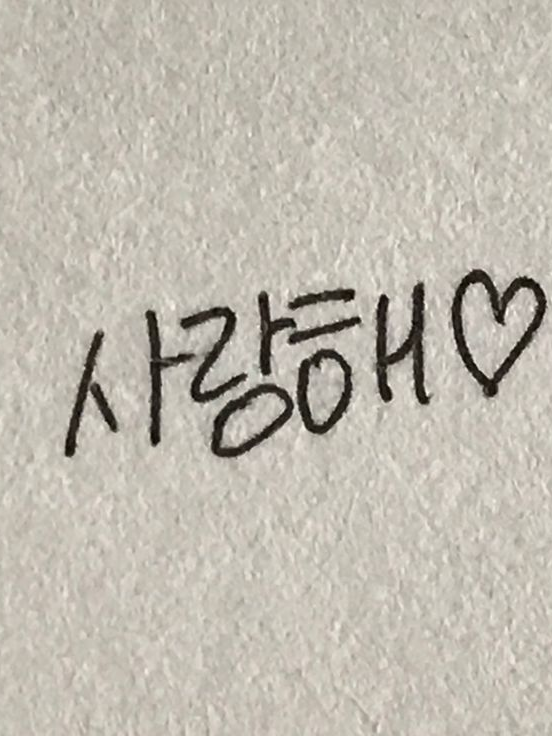 (㉠) 새 (끼) 대표 이미지