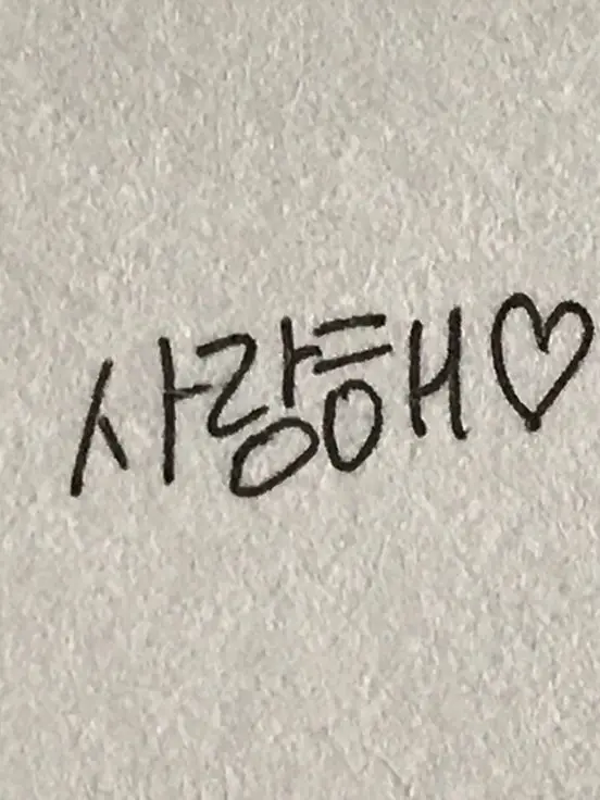 lovey.ou의 (㉠) 새 (끼)