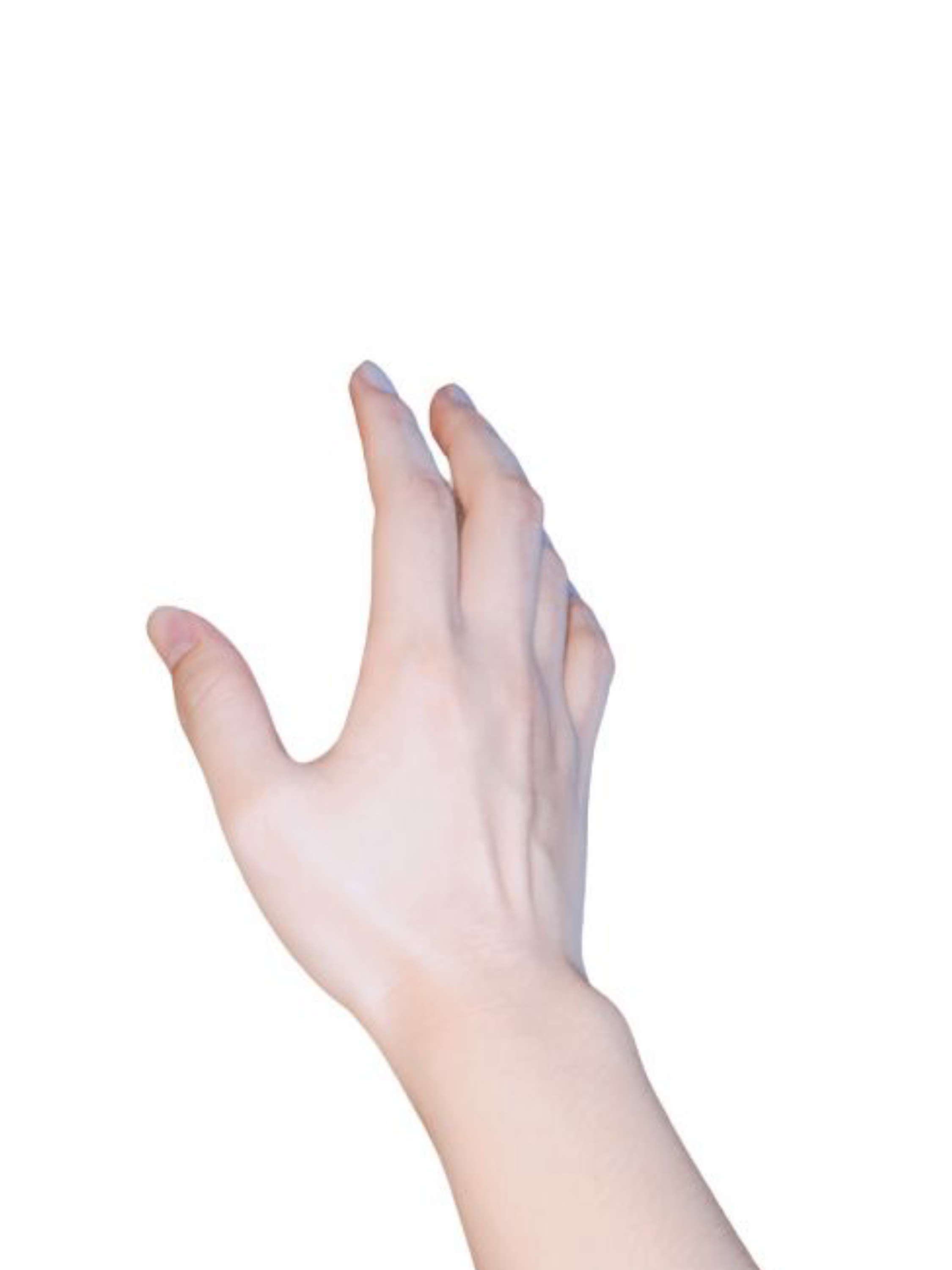 𝙰 𝚑𝚊𝚗𝚍? 대표 이미지