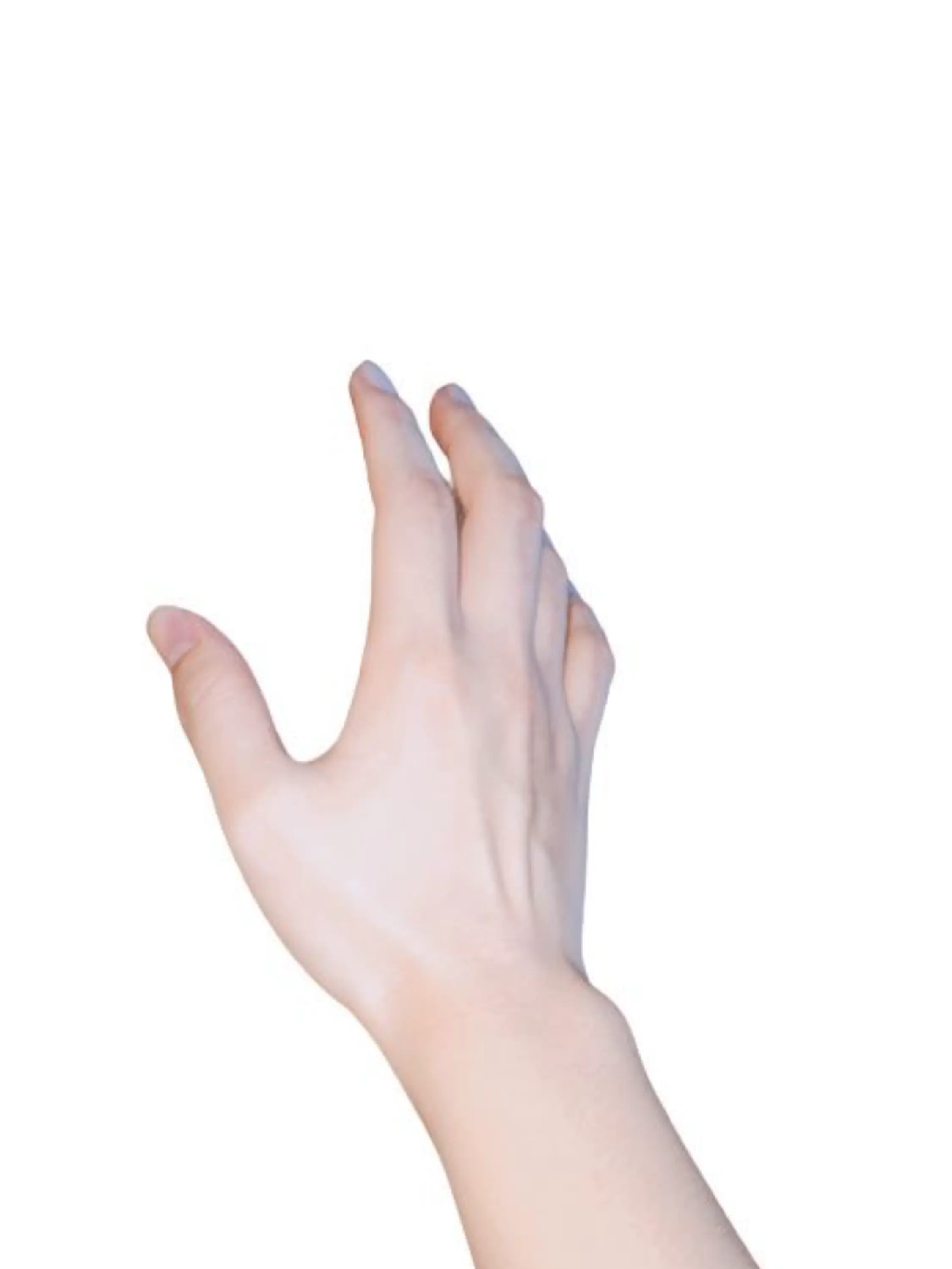 apricotWild의 𝙰 𝚑𝚊𝚗𝚍?