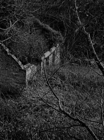 Akwsuje66의 TH3 SH4DY GR3Y