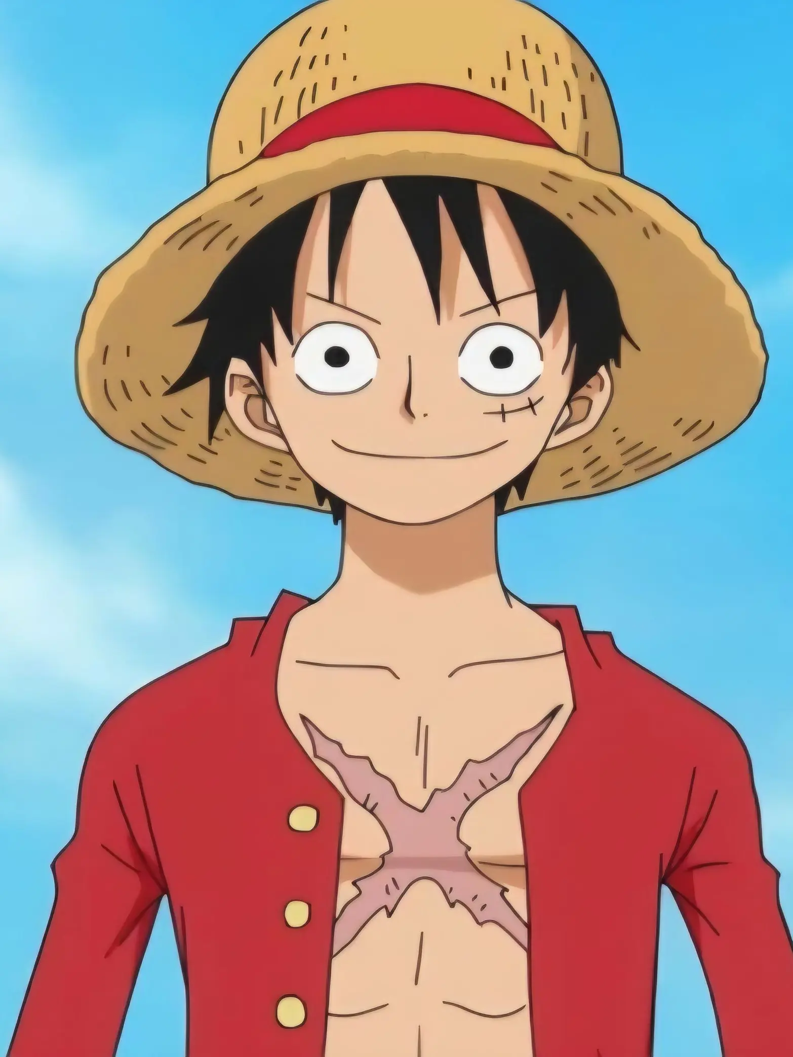 HazyTuna7109의 One piece Vacation
