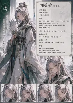 Profile image of 제갈량