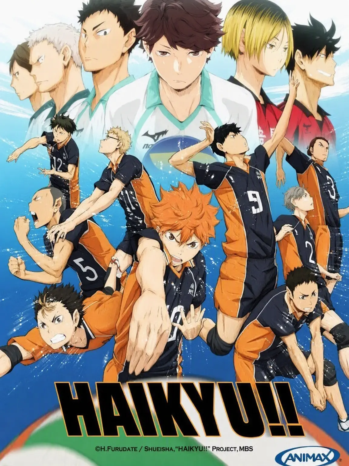 ItchyHusky1864의 Haikyu!! Past Life Experience