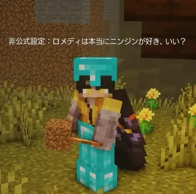Profile image of Lomedy