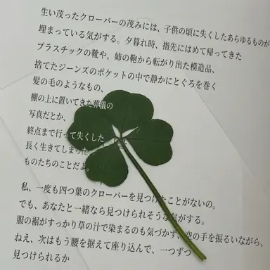 Profile image of チョン・ゴンリョン