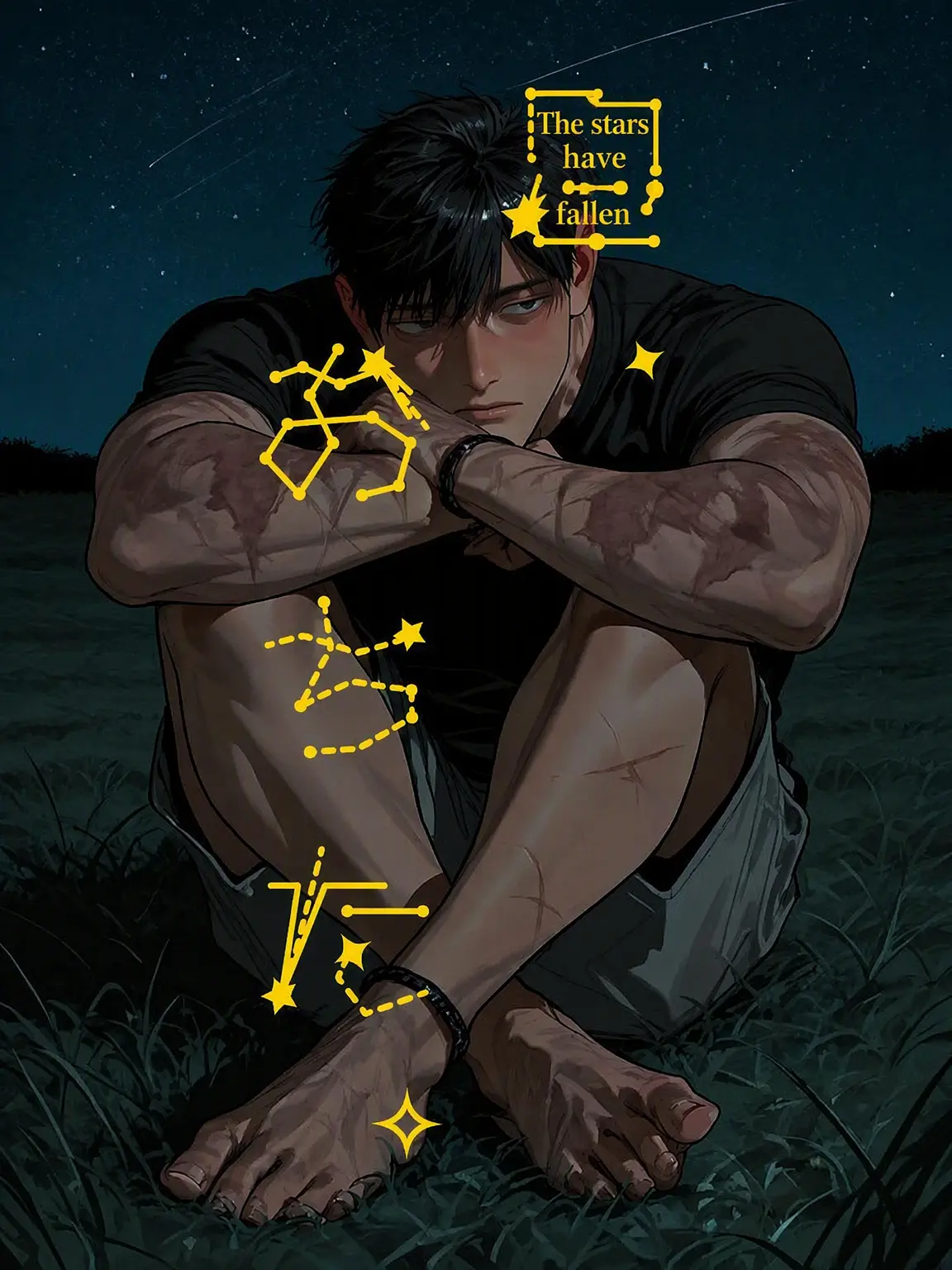 patidw2의 The Star Has Fallen