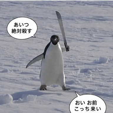 Profile image of ヴェリティ商店の店主