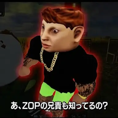 Profile image of ZOP