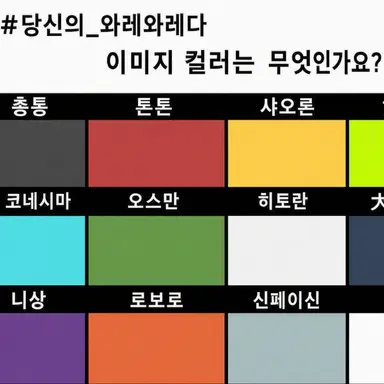 Profile image of 기타 멤버