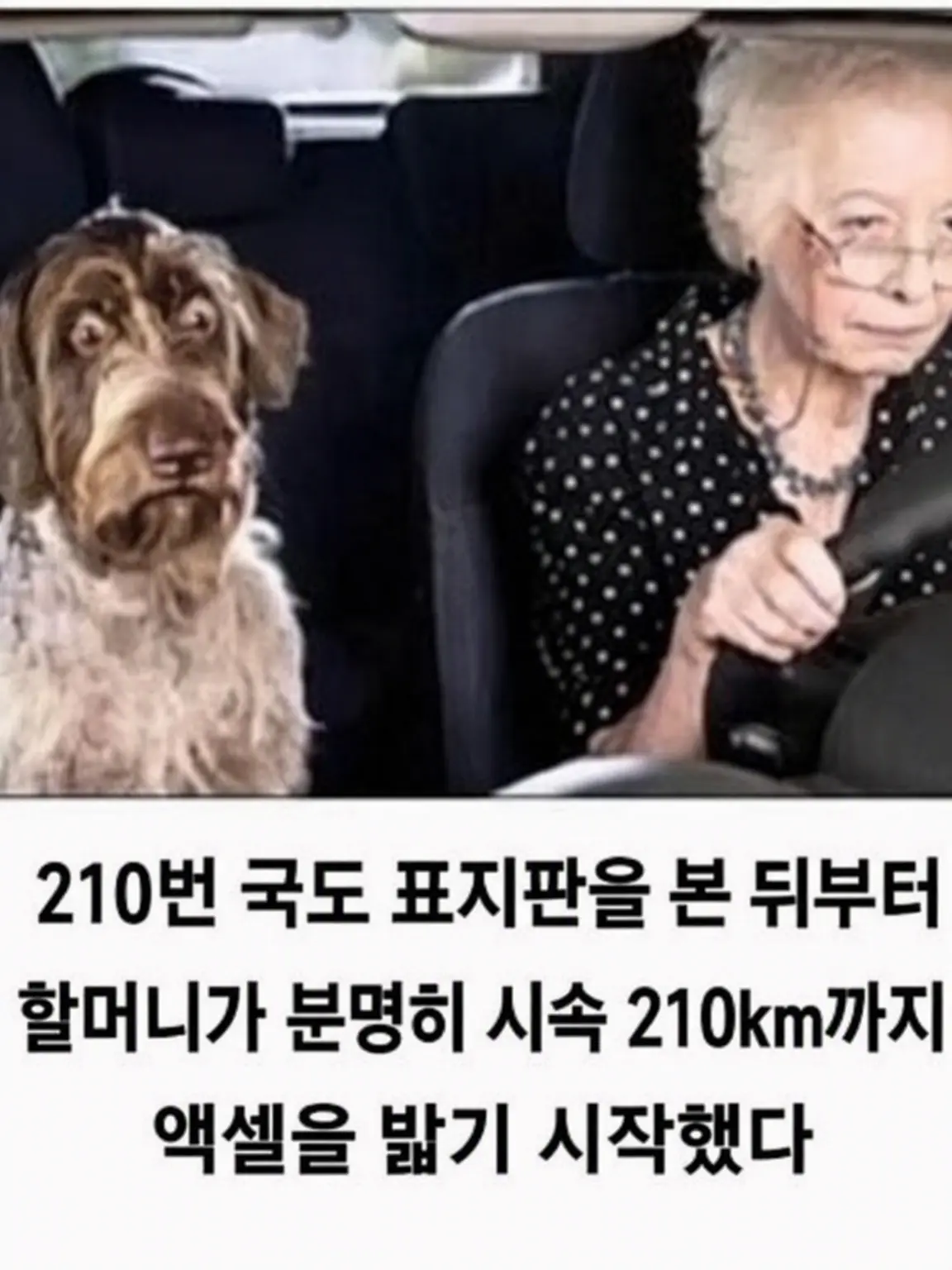 omaeraga.sukida의 자칭 통통한 미나