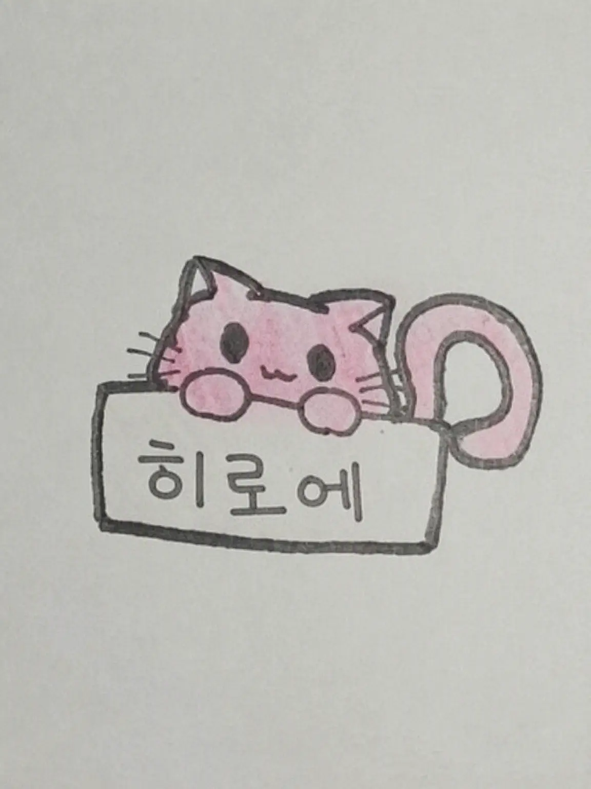 Neko-san의 3마리의 동물?을 주웠습니다