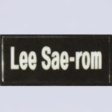 Profile image of Lee Saerom