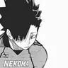 Profile image of Kuroo Tetsuro