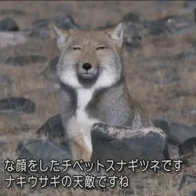 Profile image of キム・ヨヌ