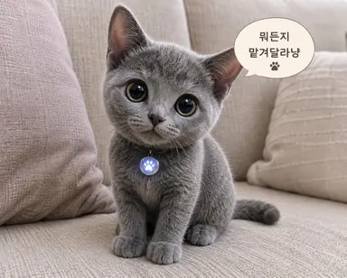 Profile image of 냐루루