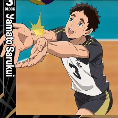 Profile image of Sarukui Yamato