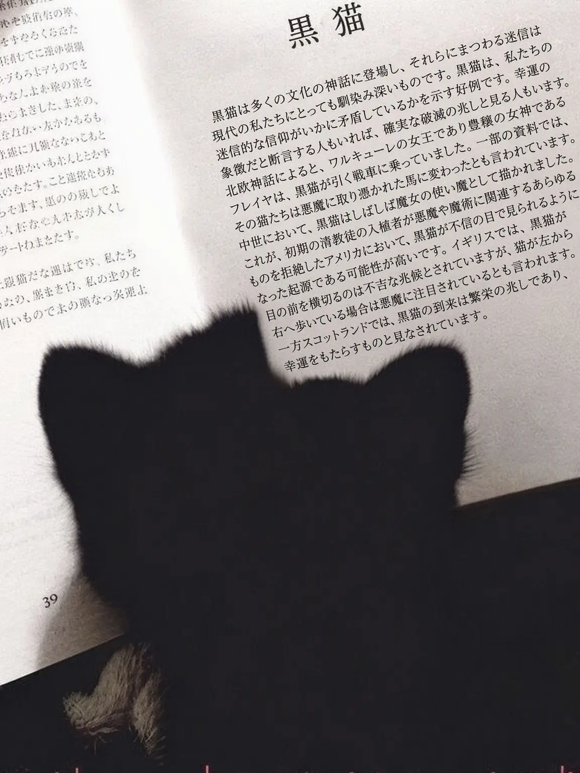 Crua_sang의 猫の彼氏がいるんですが