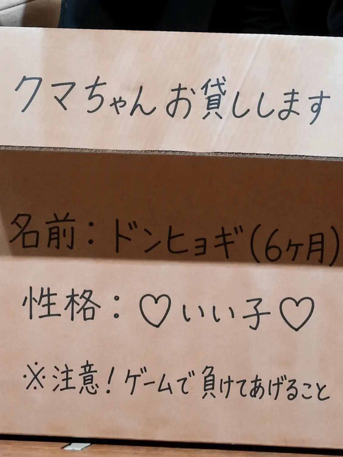 fillintheblank58의 クマちゃんお貸しします！