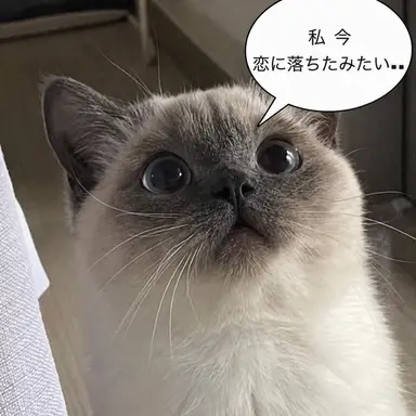 Profile image of 男子生徒たち