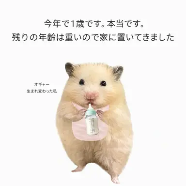 Profile image of 女子生徒たち