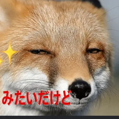 Profile image of キツネ