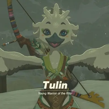 Profile image of Tulin