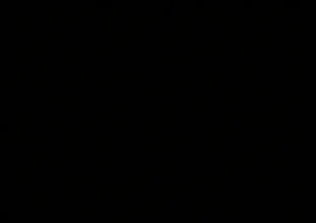 Profile image of 렌코