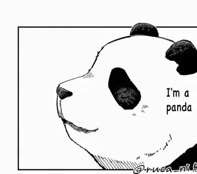 Profile image of Panda