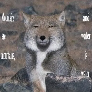 Profile image of Minikui Wolf