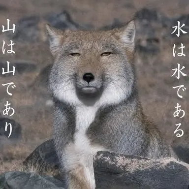 Profile image of ミニクイ 狼