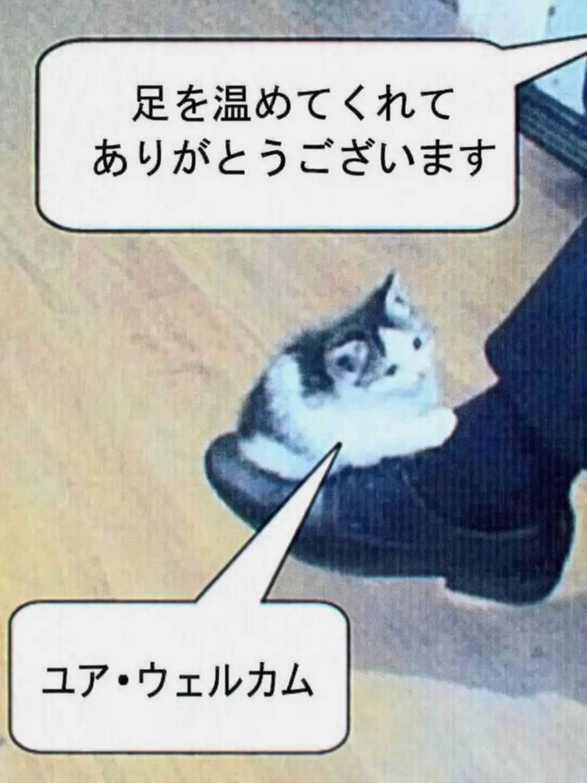 Lida1119의 🎵 あいーん