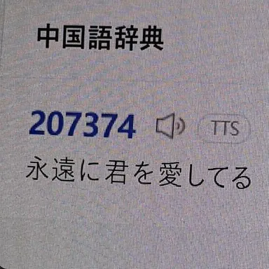 Profile image of リー・ジャシュ
