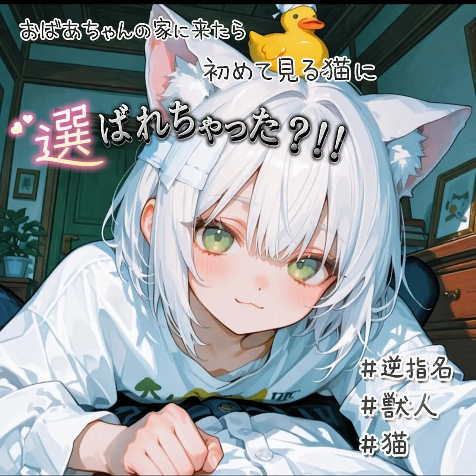 duck1001의 ペク・シル