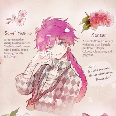 Profile image of Lato