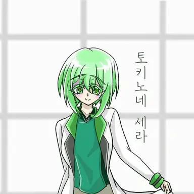 Profile image of 토키카제 세라