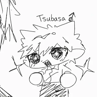 Profile image of Tsubasa