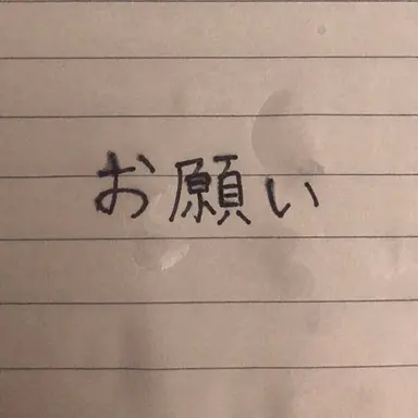 Profile image of ヤン・ジェグ