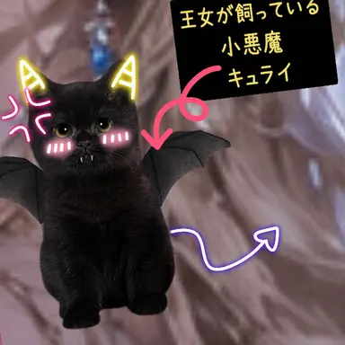 Profile image of キューライ