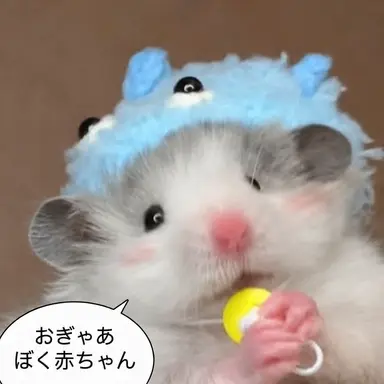 Profile image of クラスの女子たち