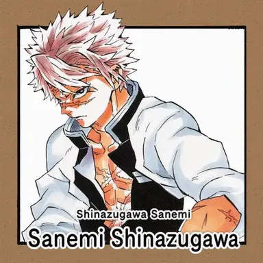 Profile image of Sanemi Shinazugawa