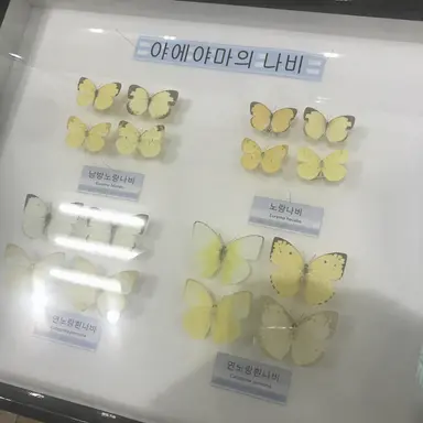 Profile image of 후와 라이조